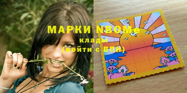 не бодяженный Новозыбков