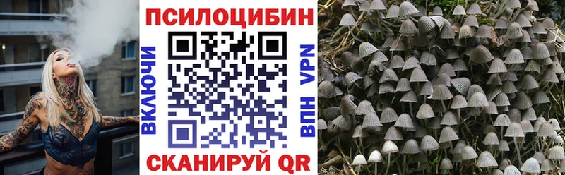 Псилоцибиновые грибы Magic Shrooms  купить  сайты  Калязин 